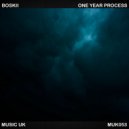 Boskii - One Year Process