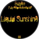 Buben - Fully Represented (Original Mix)