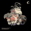 Raphael Piperno - The Physical