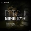 Pitch! - Synthesis (Original Mix)