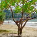 Best Jazz Lounge Bar - Backdrop for Staying Focused - Jazz Trio