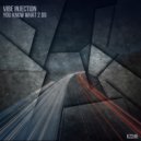 Vibe Injection - You Know What 2 Do