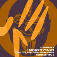 Domineeky & Tru Roots Project - We Can All Be Funky Part 2