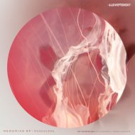 Magdalena - We Well Meet Again