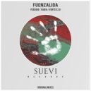 Fuenzalida - Vortex 2.0