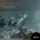 Daniel Testas , Soire - Tranquility