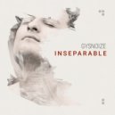 Gysnoize - Night Moment (Original Mix)