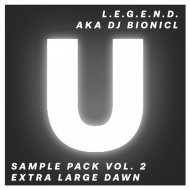 L.E.G.E.N.D. aka DJ Bionicl - Pluck