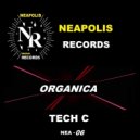 Tech C - Big Ganica