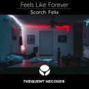 Scorch Felix - Seems Like Forever (Radio Edit)