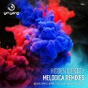 Hidden Identity - Melodica Remixes (Original Mix)