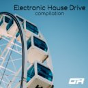 Lineki & Paolo Barbato - Disco Affair (Original Mix)