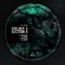Volume A & Section 8 - Psychosis (Original Mix)