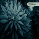 Ninjury - No Bammer