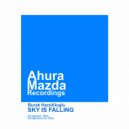 Burak Harsitlioglu - Sky Is Falling (Original Mix)