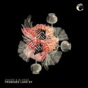 Zakari&Blange - Glow Worm