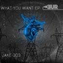 Jake 303 - Fck Bitches