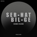 Serhat Bilge - Cosmic Falcon