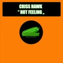 Criss Hawk - Hot Feeling (Original Mix)