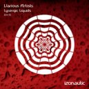 Robert Kanford - Antigua (Drosoxide Remix)