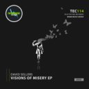 David Sellers - Illusions (Original Mix)
