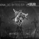 Wyndell Long - Do it while you can