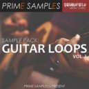 Prime Samples - Synth Guitar Sample