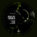 Roklem & Sebalo - Persistence (Original Mix)