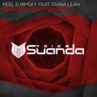 FEEL & RIMSKY feat. Diana Leah - One Last Time