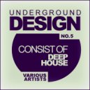 Lever - Your\'e The Girl (Original Mix)