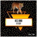 Hiss Band - Saz O Avaz (Original Mix)