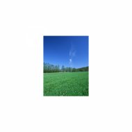 Mindfulness Healing Bgm Project - Sound presSure & Bgm