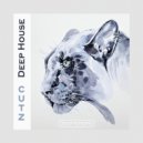 Jaques Le Noir - Could Be