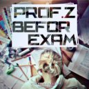 Prof.z - Befor Exam (Original Mix)