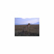 Mindfulness Healing Bgm Project - Water & Communication