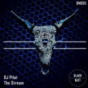 DJ Pilot - Creative Dissamble (Original Mix)
