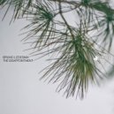 Bruno Ledesma - The Path Of Intuition (Original Mix)