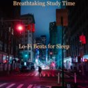 Lo-fi Beats for Sleep - Refined Vibes for Relaxing ()