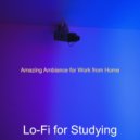 Lo-Fi for Studying - Background Music for Work from Home ()
