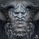 Aran Project - Strakals