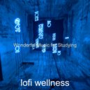 lofi wellness - Cultured Soundscape for Chilling at Home ()