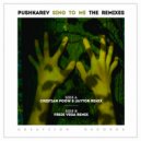 Pushkarev  - Sing To Me (Fredi Vega Remix)