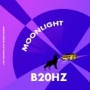 B20HZ - It's Falling Down