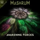 Mashrum - Biorobots