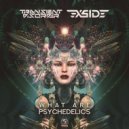 Transient Disorder & X-Side - What Are Psychedelics (Original Mix)