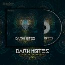 Dark Notes - Hallucination (Original Mix)