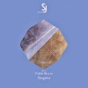 Pablo Bravo - Singular