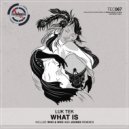 Luk Tek - What Is