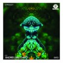 Andreu Bacchetti - Tronic (Original Mix)