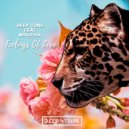 Deep Tone feat. Mixusha - Feelings of Love
